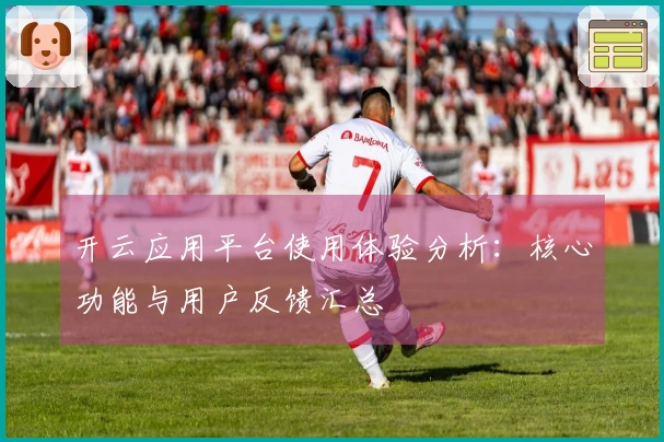 开云应用平台使用体验分析：核心功能与用户反馈汇总