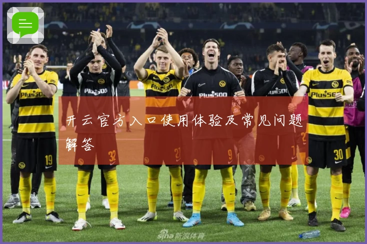 开云官方入口使用体验及常见问题解答