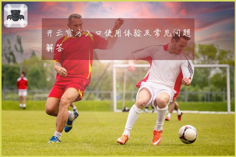 开云官方入口使用体验及常见问题解答