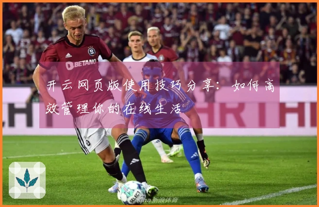 开云网页版使用技巧分享：如何高效管理你的在线生活