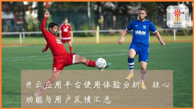 开云应用平台使用体验分析:核心功能与用户反馈汇总